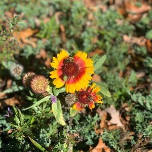 Meet your Posher, Ann